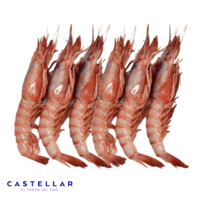 ALISTADO CRUDO CASTELLAR