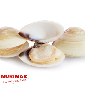 ALMEJA BLANCA NURIMAR