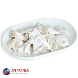 BACALAO COCOCHA SELPROMAR