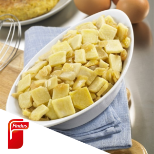 BASE TORTILLA CON CEBOLLA FINDUS