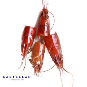 BOGAVANTE CABEZA CRUDO CASTELLAR