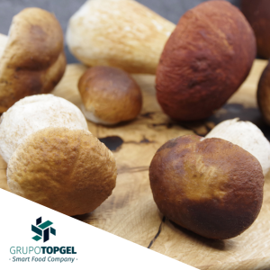 BOLETUS EDULIS TAPON TOPGEL