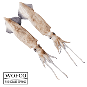 CALAMAR PATAGONICO WOFCO