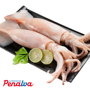 CALAMAR LIMPIO PATAGONICO
