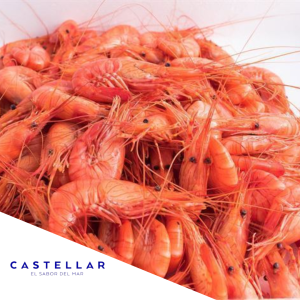 CAMARON ROJO CASTELLAR