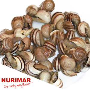 CARACOL NURIMAR