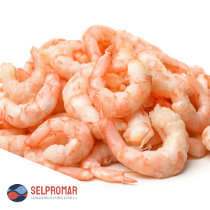 COLA LANGOSTINO PELADO SELPROMAR