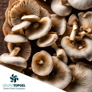 CHAMPIÑON LAMINADO TOPGEL