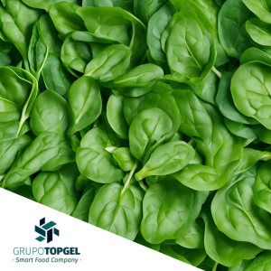 ESPINACA HOJA TOPGEL