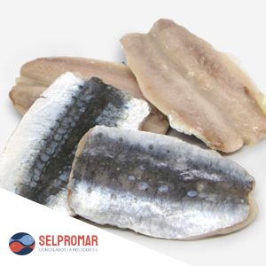 FILETE BACALADILLA / LIRIO SELPROMAR