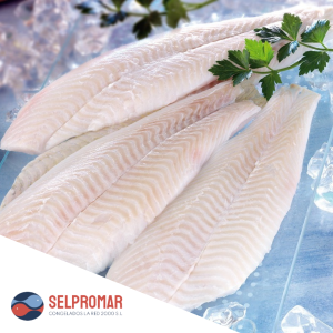 FILETE LIMANDA SELPROMAR