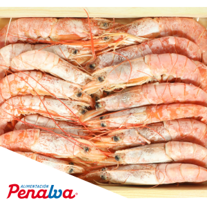 GAMBA ARROCERA