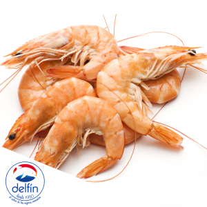 GAMBA BLANCA DELFIN