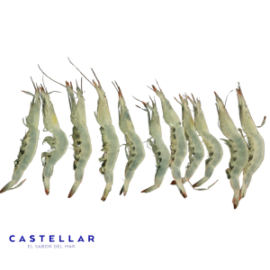 GAMBA CRISTAL
