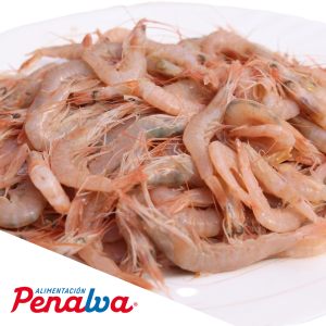 GAMBA G1 MABROUK