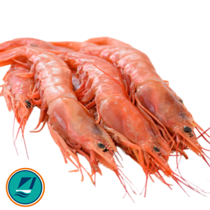 GAMBON ABORDO