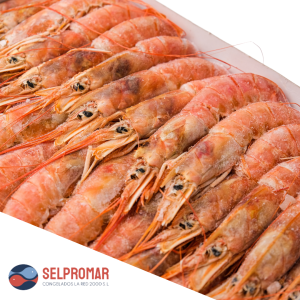 GAMBON ABORDO SELPROMAR