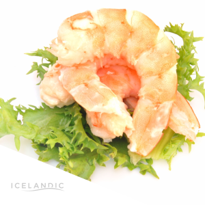 GAMBON DESVENADO ICELANDIC