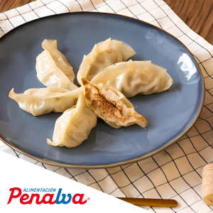 GYOZA DE POLLO
