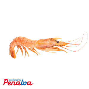 LANGOSTINO