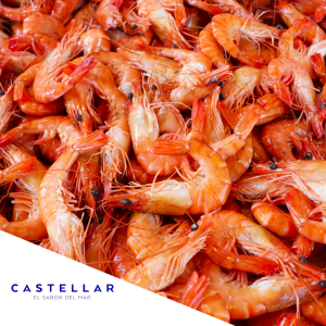 LANGOSTINO COCIDO CASTELLAR