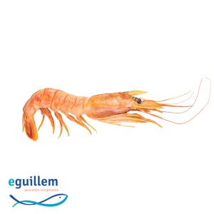 LANGOSTINO COCIDO GUILLEM