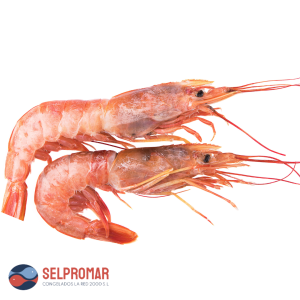 LANGOSTINO HUELVA SELPROMAR