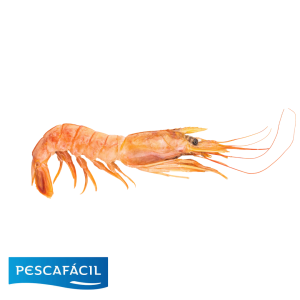 LANGOSTINO PESCAFACIL