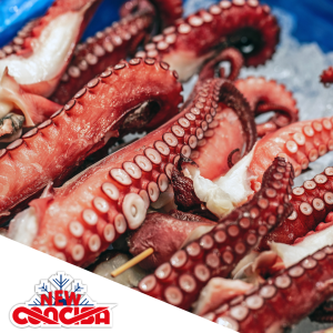 PATA PULPO COCIDA NEW CONCISA