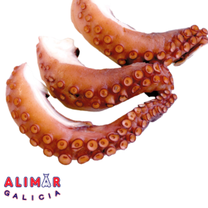 PATA PULPO ALIMAR